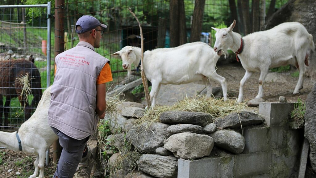 Scopri la natura di Agri Farm