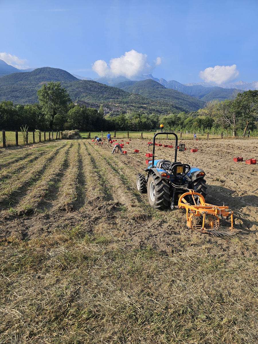 Scopri la natura di Agri Farm