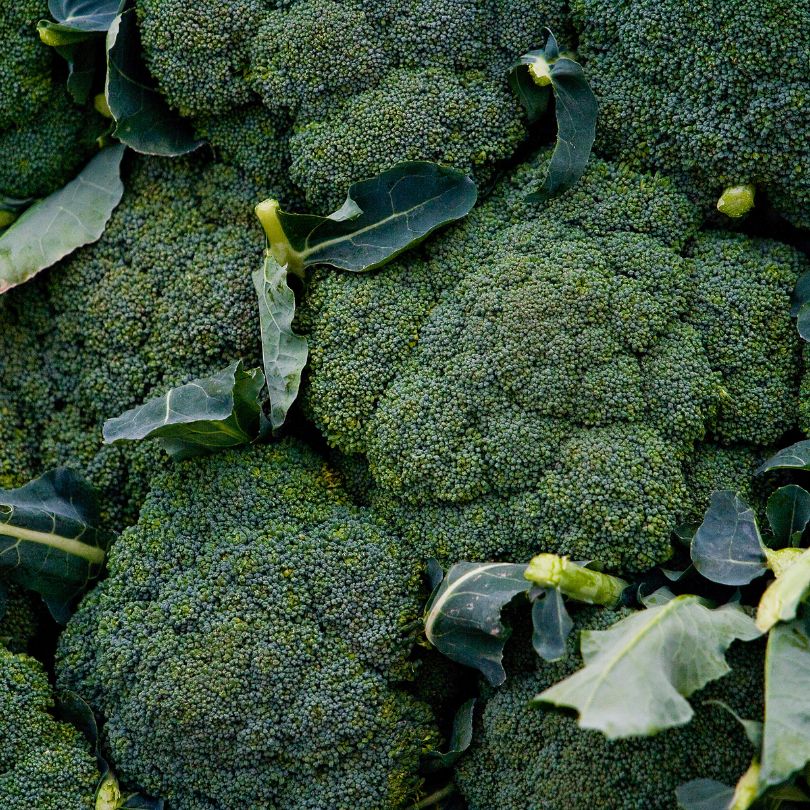 Broccoli