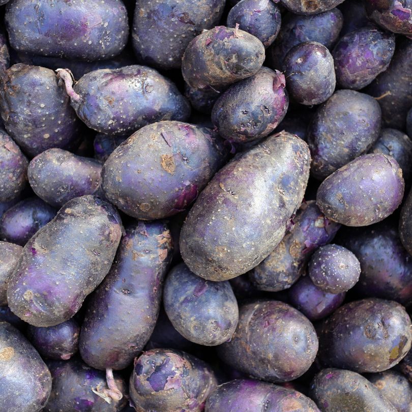 Patate Viola