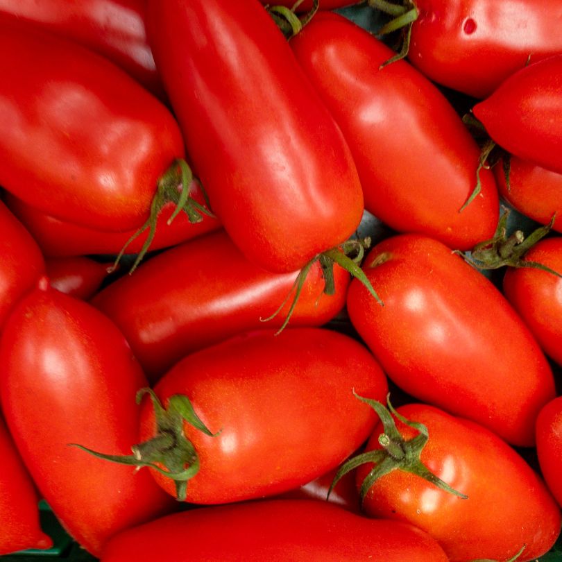 Pomodori San Marzano 