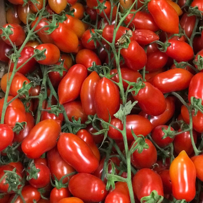 Pomodori Piccadilly