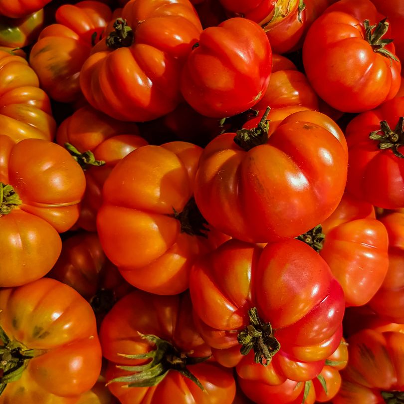 Pomodori Costoluto